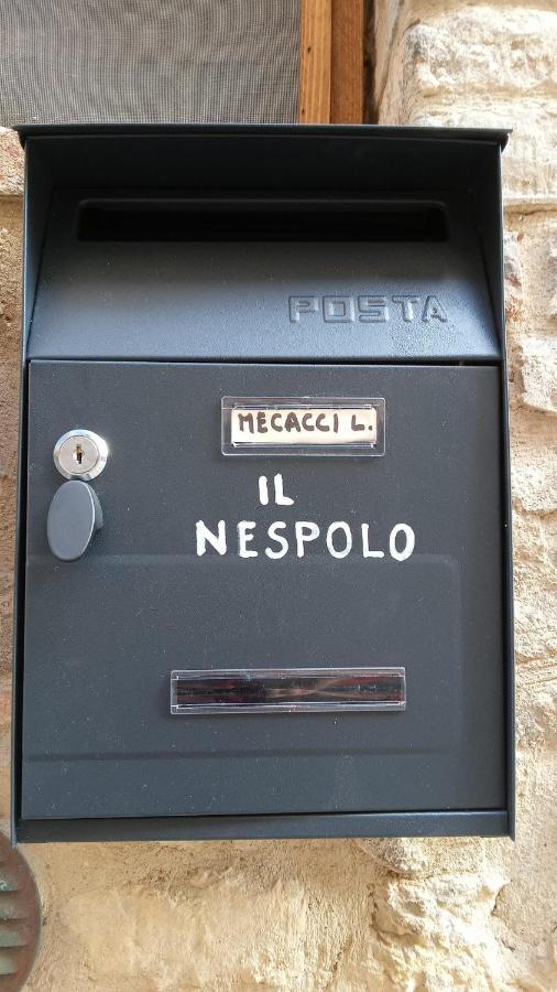 Appartamento Il Nespolo サン・ジミニャーノ エクステリア 写真